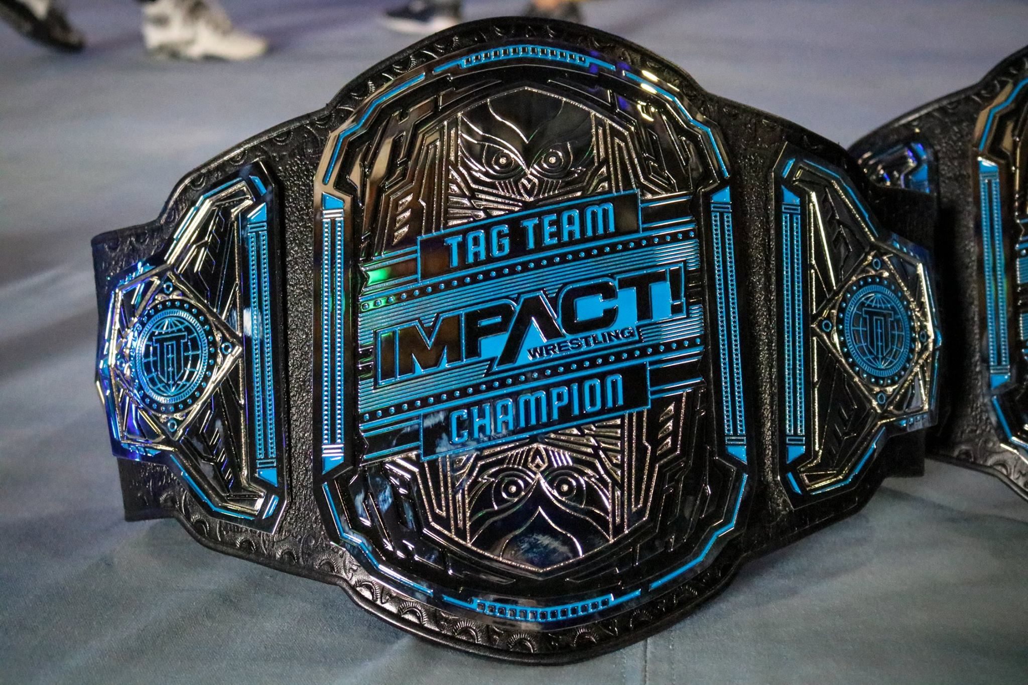 World team championship. Impact Championship Belt. WWE tag Team Championship. WWE Championship Belt. TNA World tag Team Championship.