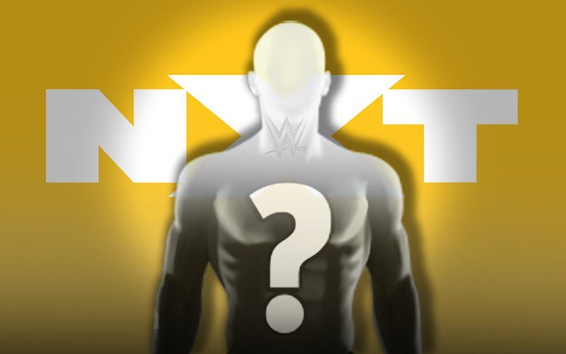 WWE: Nuovi debutti in un Live Event NXT