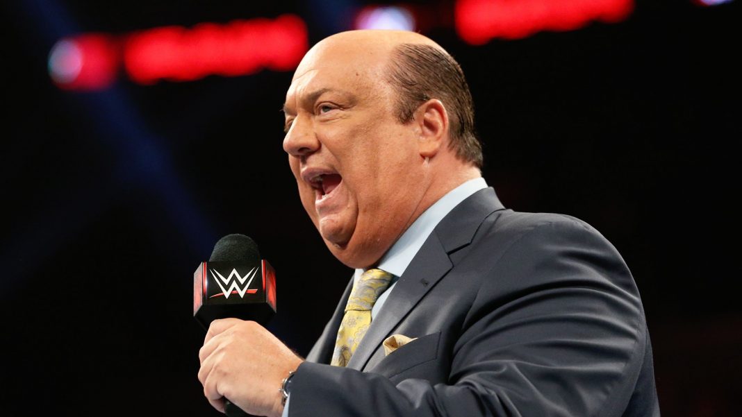 WWE: Paul Heyman ha in mente un piano a lungo termine per una superstar