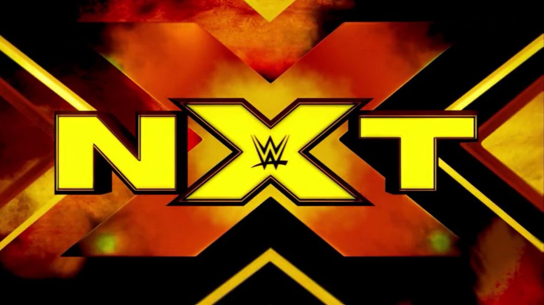 WWE SPOILER: Decretata la sfidante per il titolo femminile di NXT