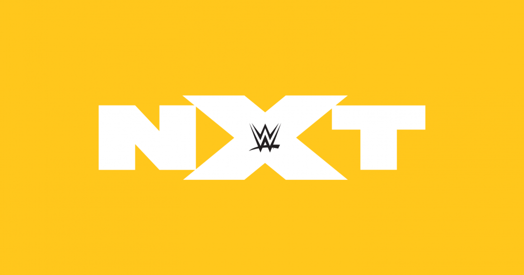 WWE: Problemi fisici per un campione di NXT
