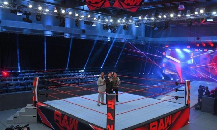 WWE: Si sta considerando l’idea di usare alcuni wrestler e celebrità come pubblico