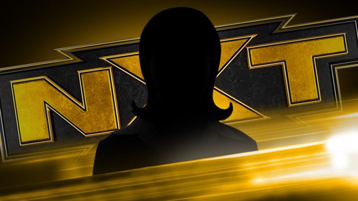 WWE: NXT mette sotto contratto 3 nuovi nomi