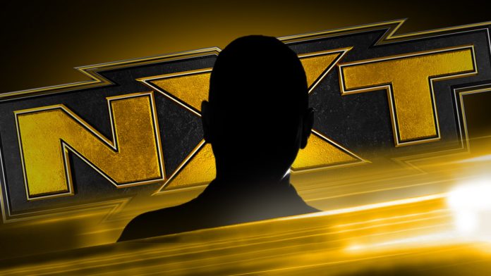 WWE: Ex campione di NXT potrebbe tornare nello show giallo nero?
