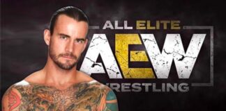 cm punk aew