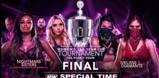 AEW Women's Tag Team Cup