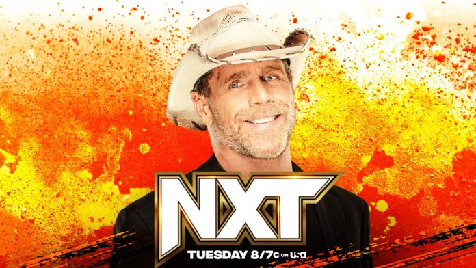 WWE: Nulla a Raw? Ci pensa a NXT a far debuttare volti nuovi, in arrivo tre nomi da Level Up