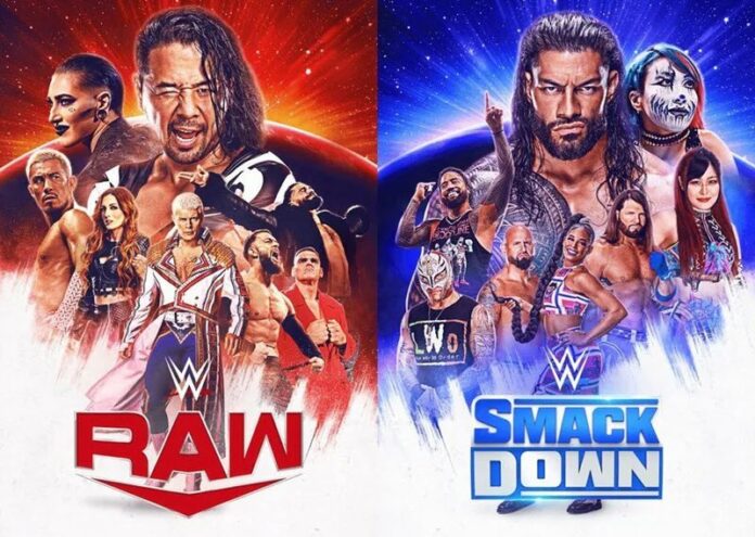 WWE: Annunciato nuovo contratto televisivo in Giappone dopo oltre un anno di assenza