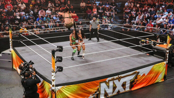 WWE: In attesa di Becky Lynch vs Tegan Nox scelta una nuova #1 contender per Halloween Havoc