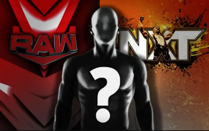 WWE: Una superstar di NXT sarà a Raw questa notte
