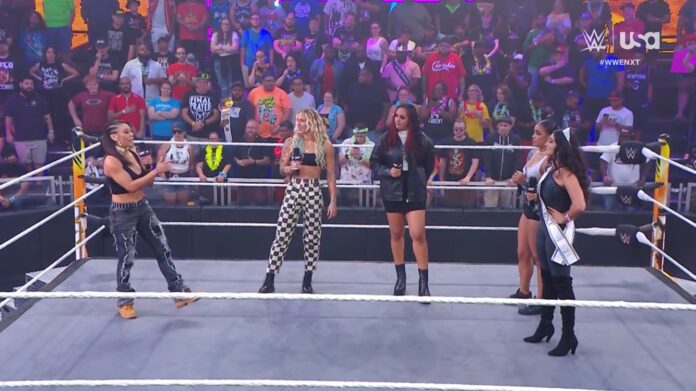 WWE: La prima North American Champion sarà incoronata in un ladder match a NXT Battleground