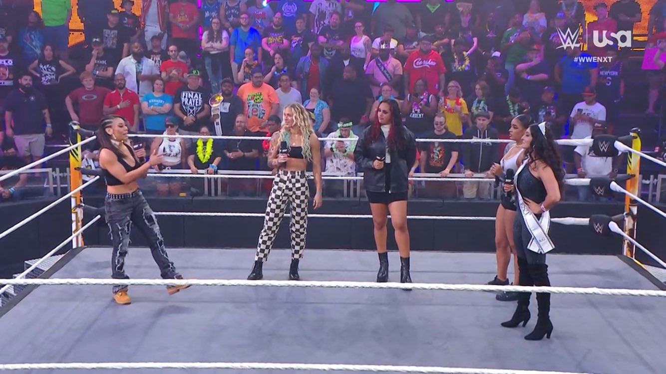 WWE: La prima North American Champion sarà incoronata in un ladder match a NXT Battleground