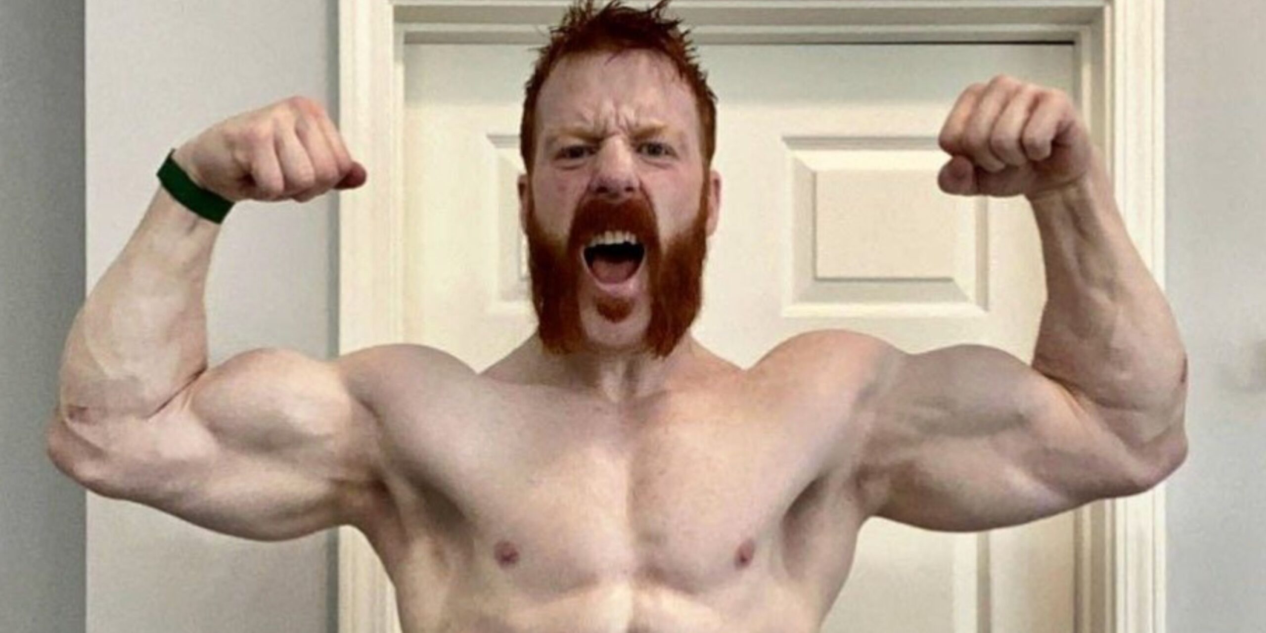 WWE: Sheamus punta a scrivere la storia nel Triple Threat Match per il Titolo Intercontinentale a Survivor Series