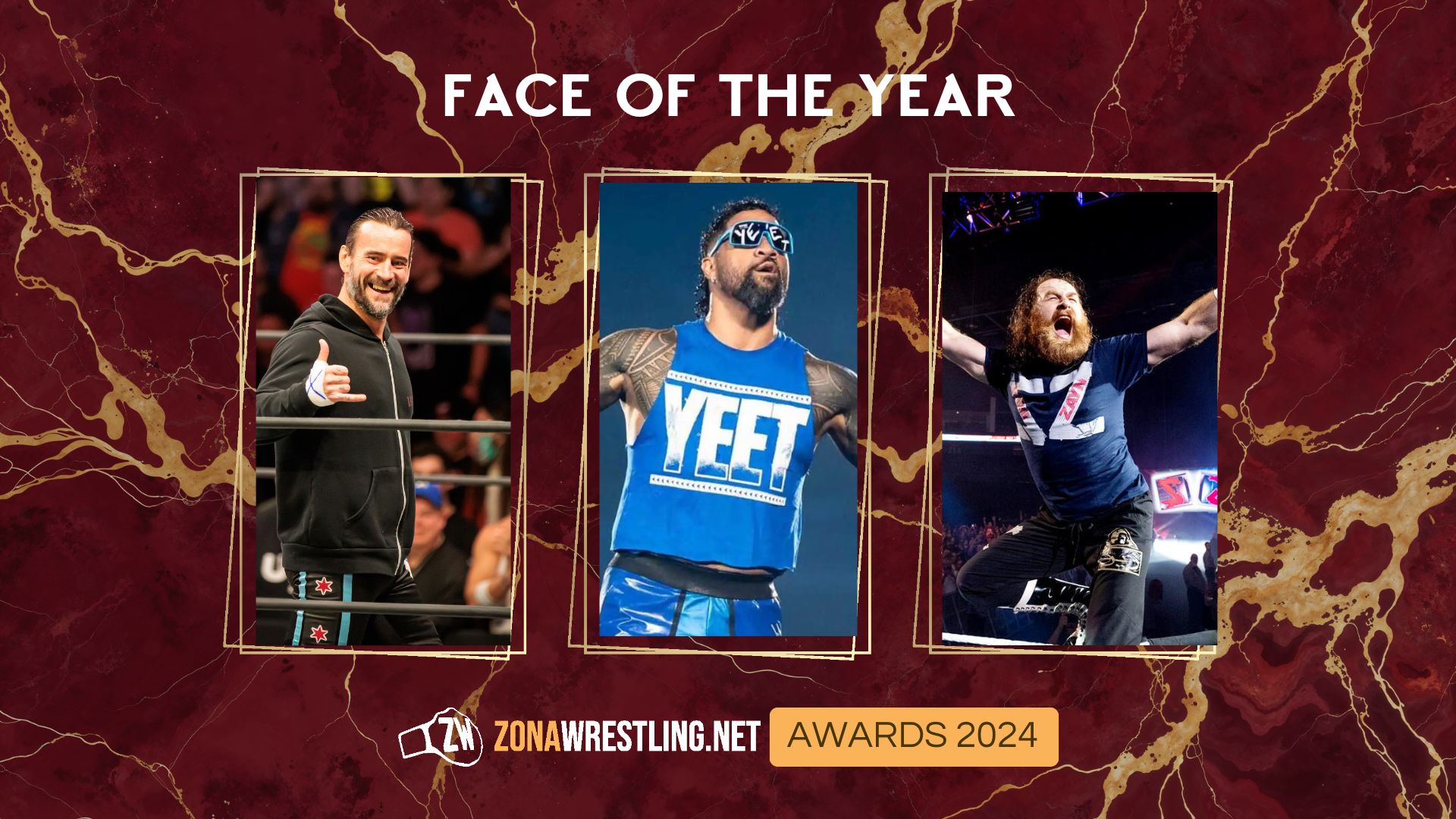 Zona Wrestling Awards 2024 – Face of the Year