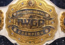 NJPW: La cessione entra nel vivo, ecco i motivi della vendita e i piani dei nuovi proprietari
