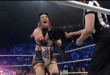 AEW: Hikaru Shida trionfa nel Survival of the Fittest e conquista il TBS Championship