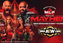 AEW: la Maple Leaf Pro di Scott D’Amore entra su MyAEW